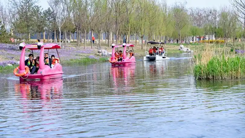 请上船！南苑森林湿地公园游船开航