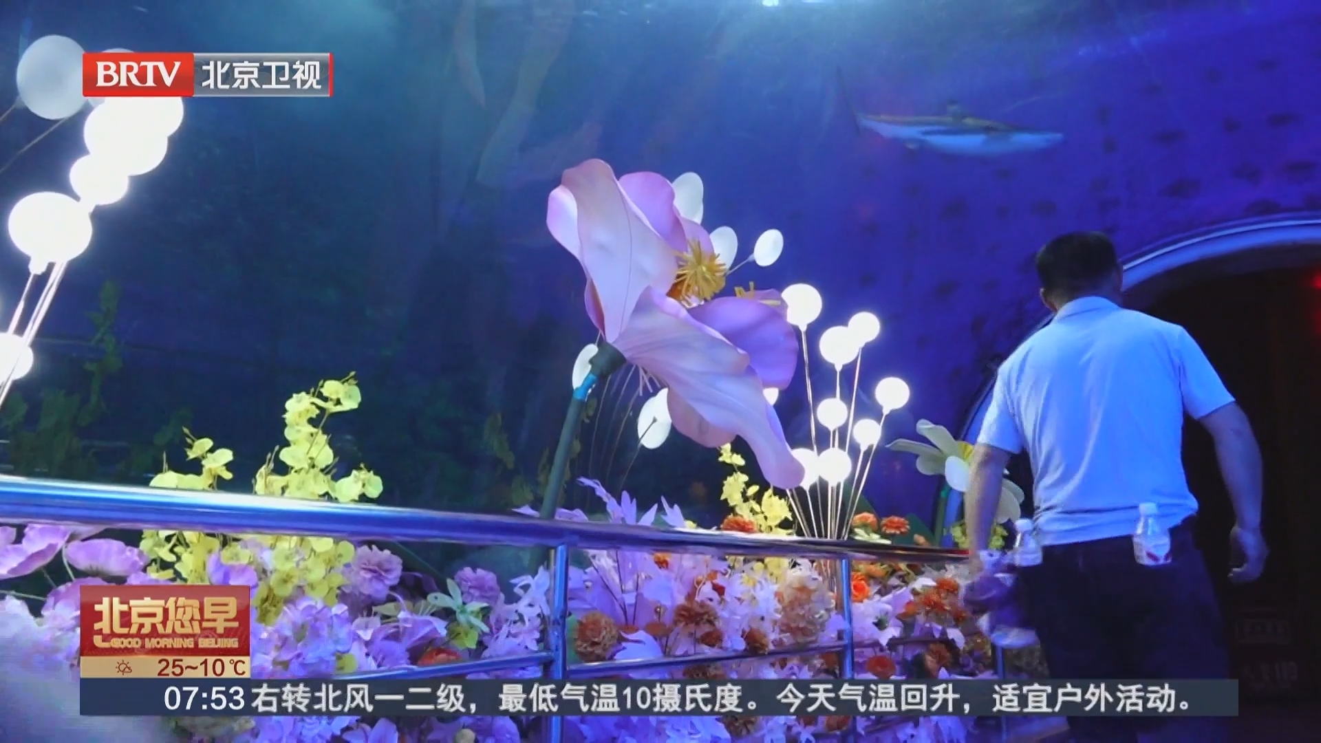 踏青寻春赴深海 海底世界春日新景引客来