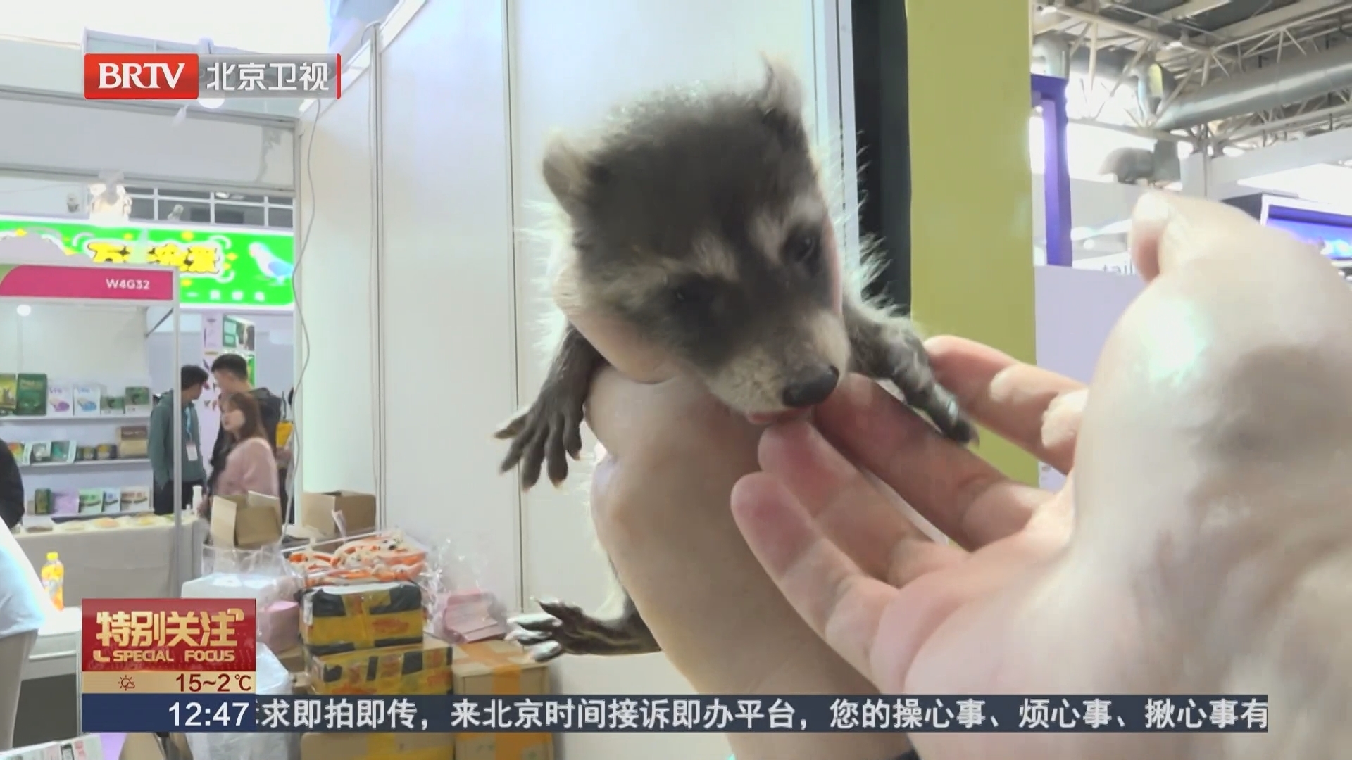 宠物经济新业态 为消费市场注入新动能