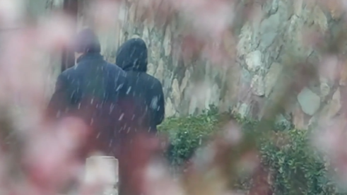 降雪将持续到3月5日白天 本市发布道路结冰和大雾双预警