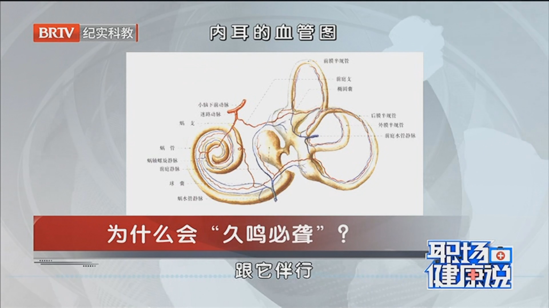 《职场健康说》20260325耳鸣——“身体的求救信号”