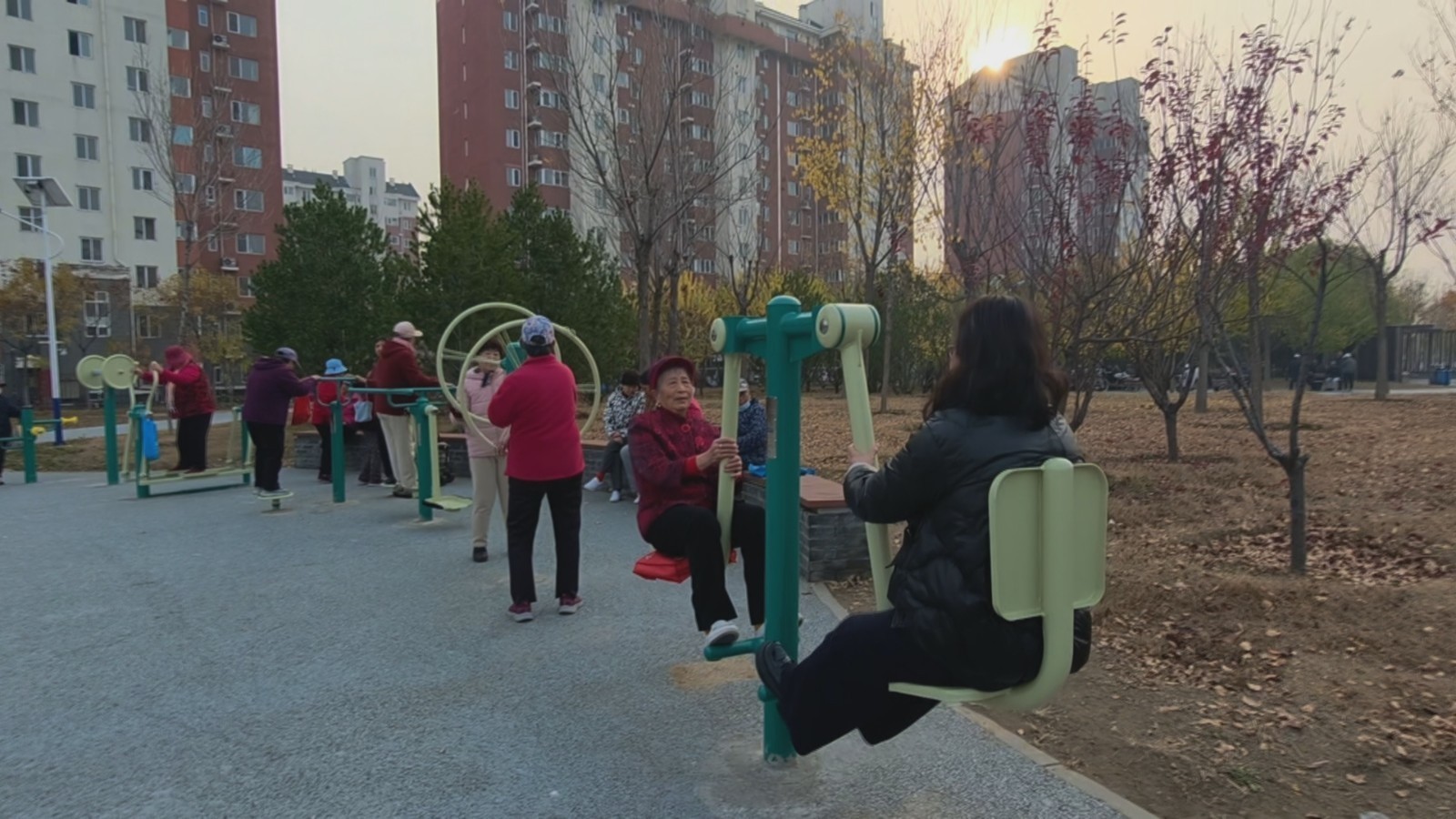 健身器材进公园 安置社区添活力 健身器材进公园 安置社区添活力