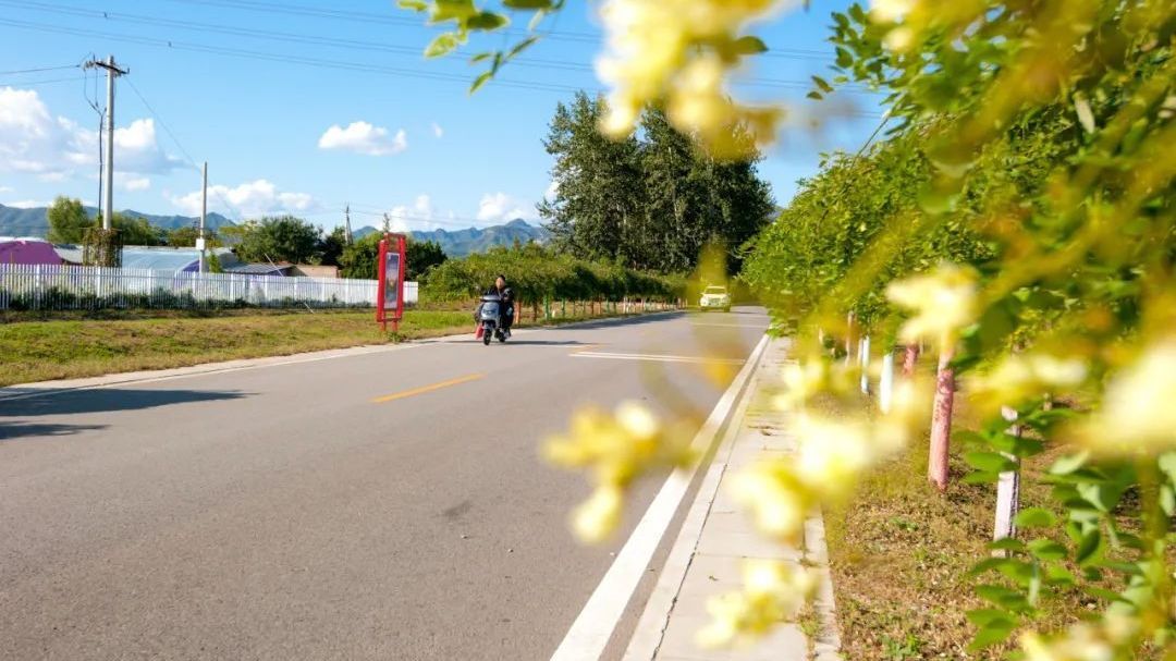 这3条路线，带您赏昌平最美乡村之景→