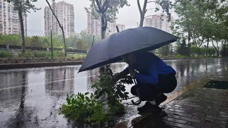 直击北京降雨！执法队全面排查积水隐患