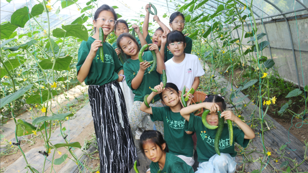 22个案例入选！看看儿童友好城市建设的顺义亮点——