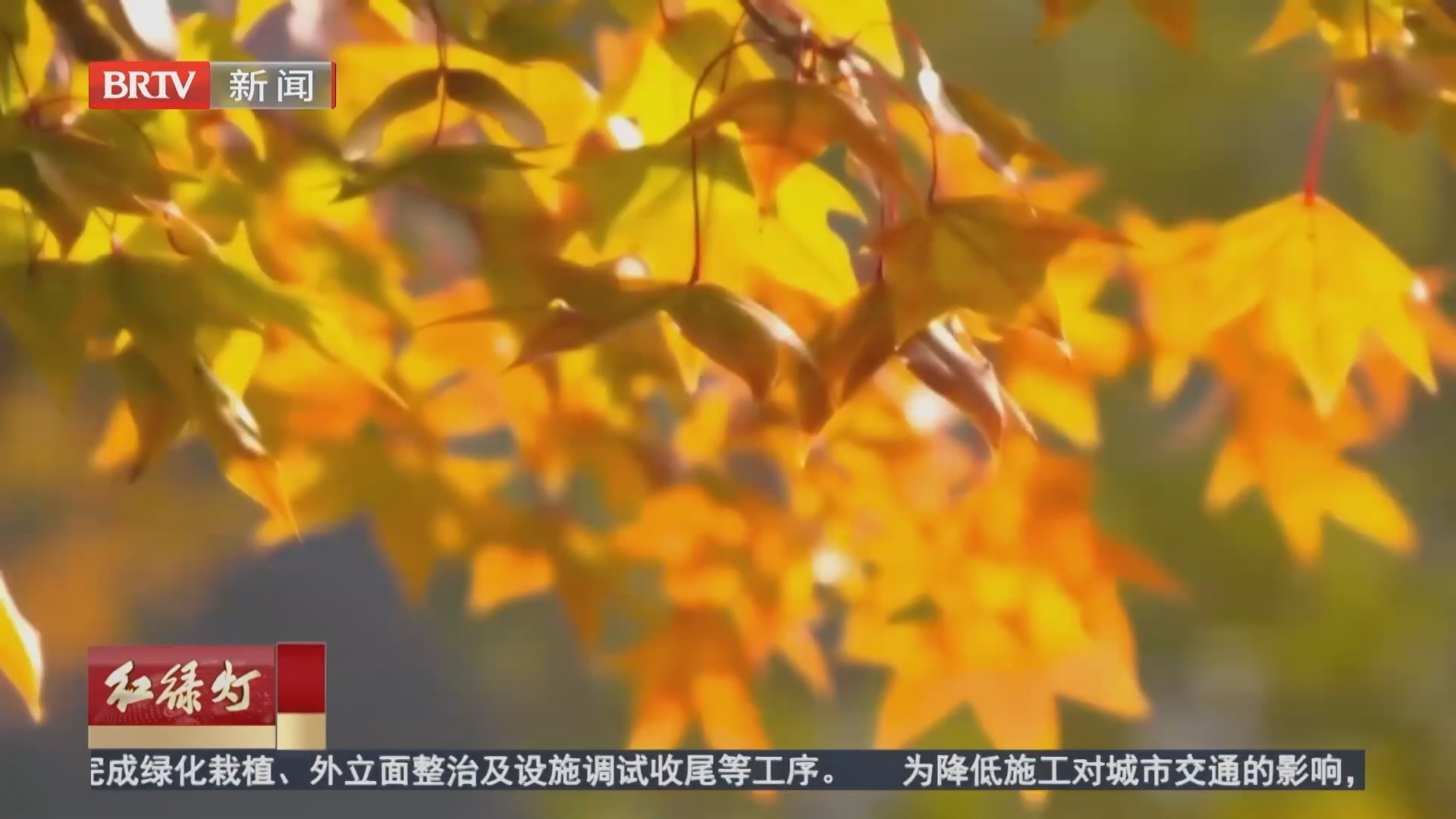“湾区风华”旅游专列10月28日从北京首发