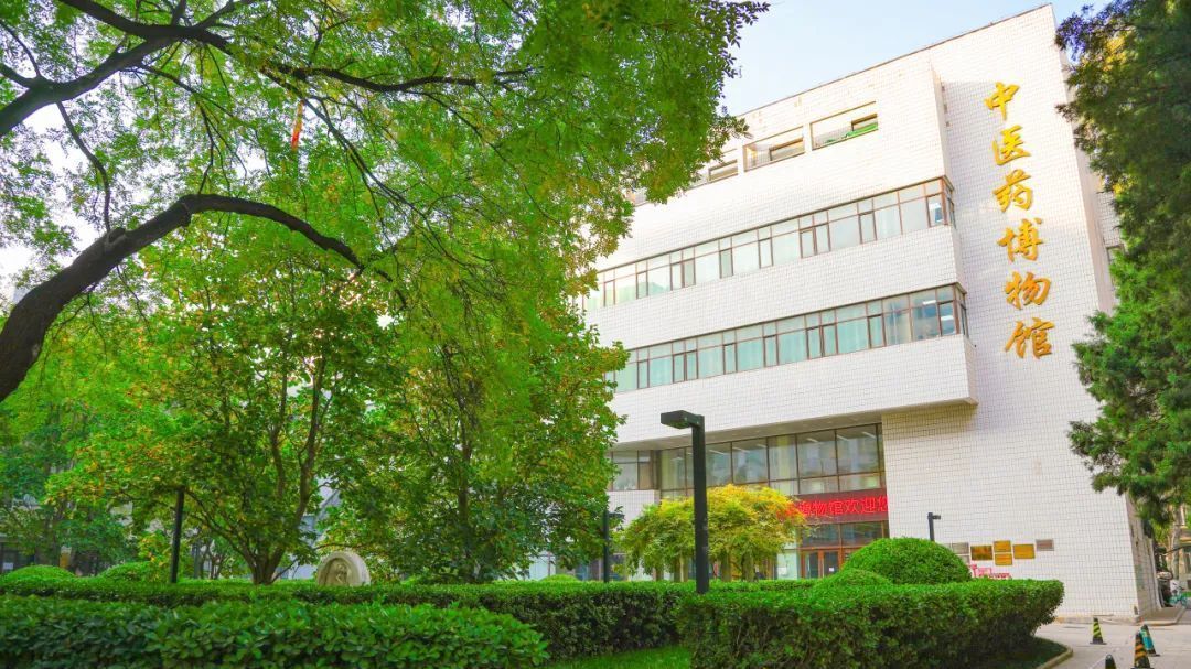 走进北京中医药大学中医药博物馆,感受中医药文化的博大精深 走进北京中医药大学中医药博物馆,感受中医药文化的博大精深