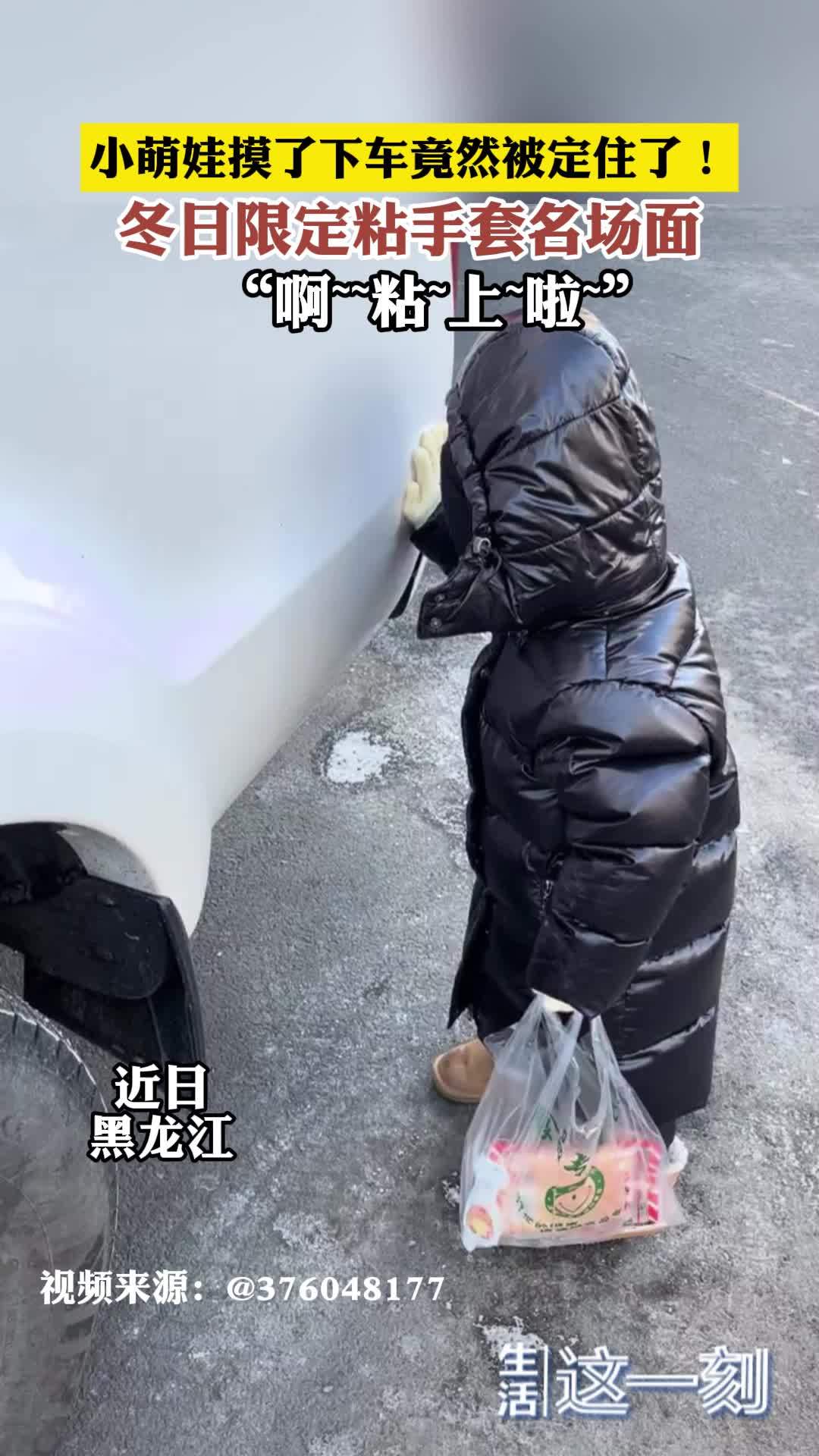 小萌娃摸了下车竟然被定住了！冬日限定粘手套名场面