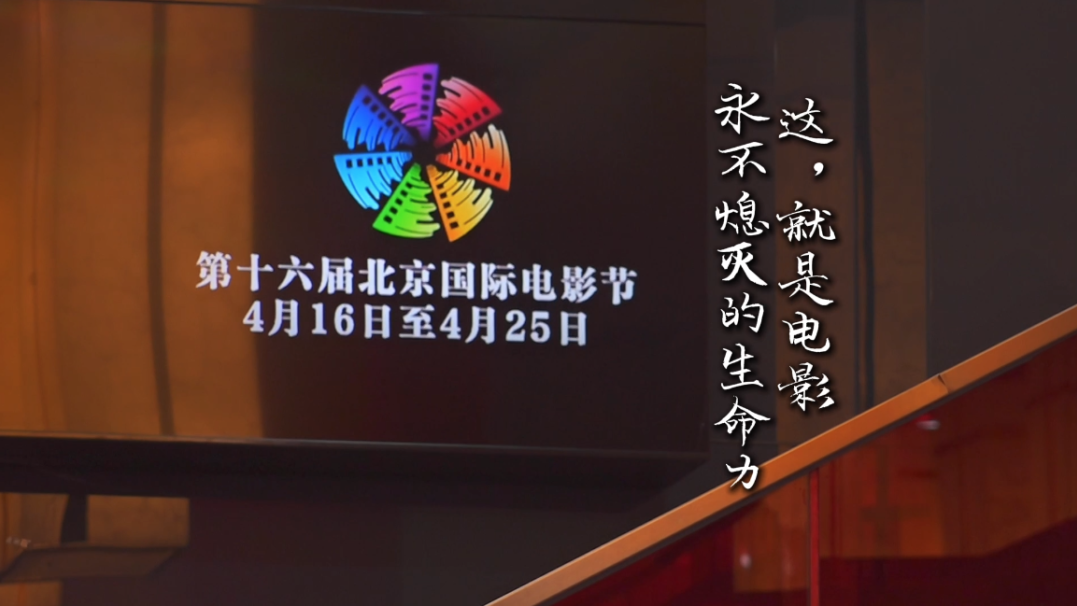 全场静默后集体鼓掌——