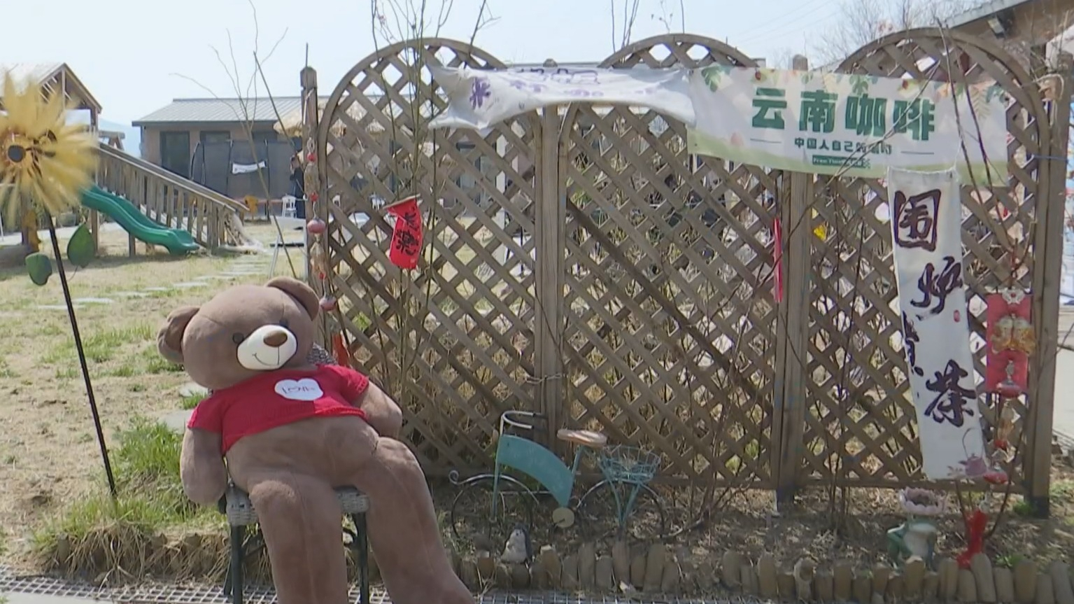 平谷西红柿尝鲜季开幕