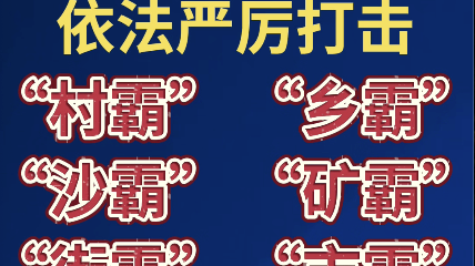 此次专项斗争依法严厉打击“村霸”、“乡霸”、“沙霸”、“矿霸”、“街霸”、“市霸”等黑恶势力