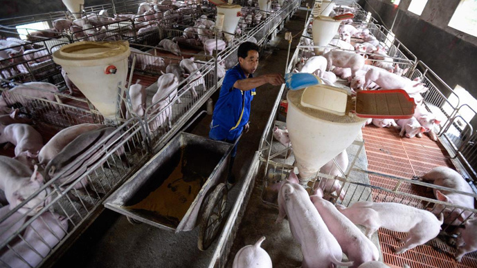 猪价下跌猪肉概念股大涨,猪肉价格已经到底了吗? 猪价下跌猪肉概念股大涨,猪肉价格已经到底了吗?