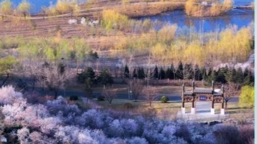 街头、漫步、秋风......在京城的老街巷遇见美好 街头、漫步、秋风......在京城的老街巷遇见美好