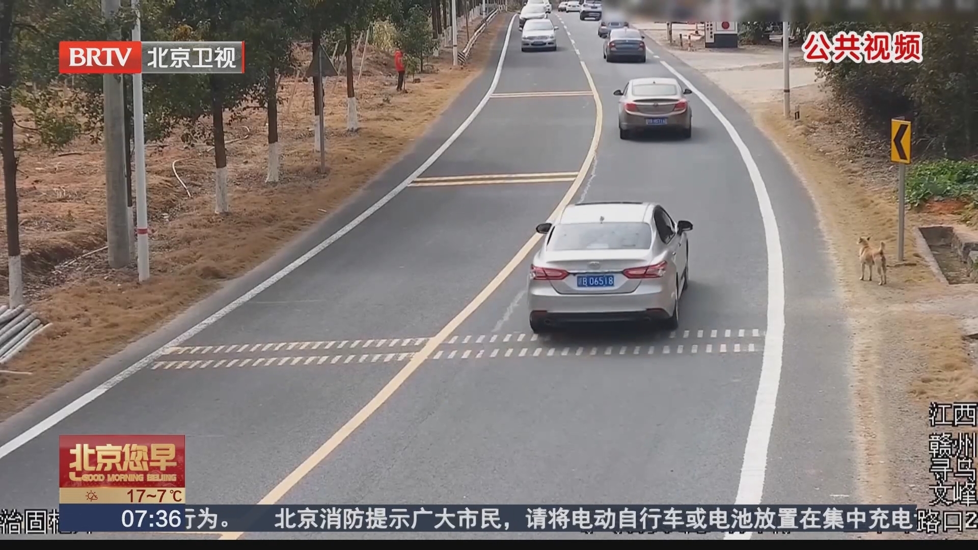 江西赣州 行人飞奔式过马路 被撞飞还需负主责