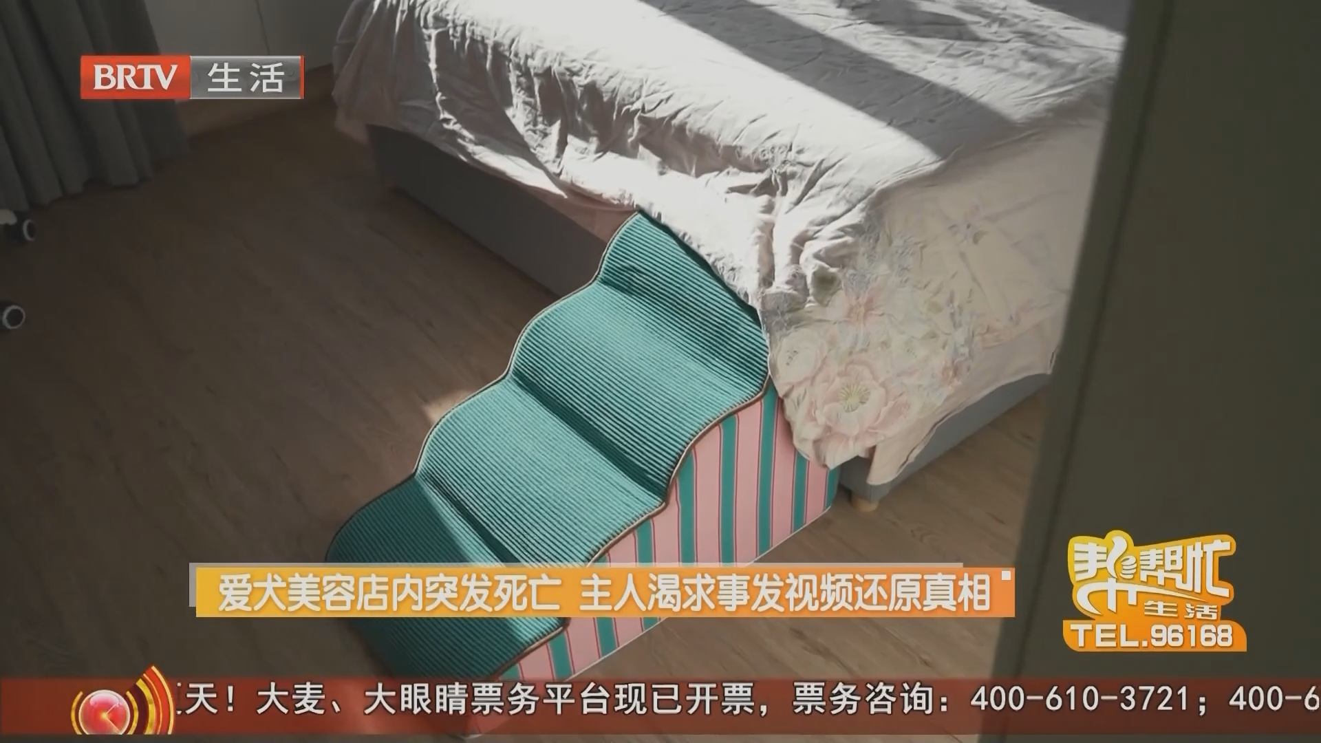 爱犬美容店内突发死亡 主人渴求事发视频还原真相(三) 爱犬美容店内突发死亡 主人渴求事发视频还原真相(三)