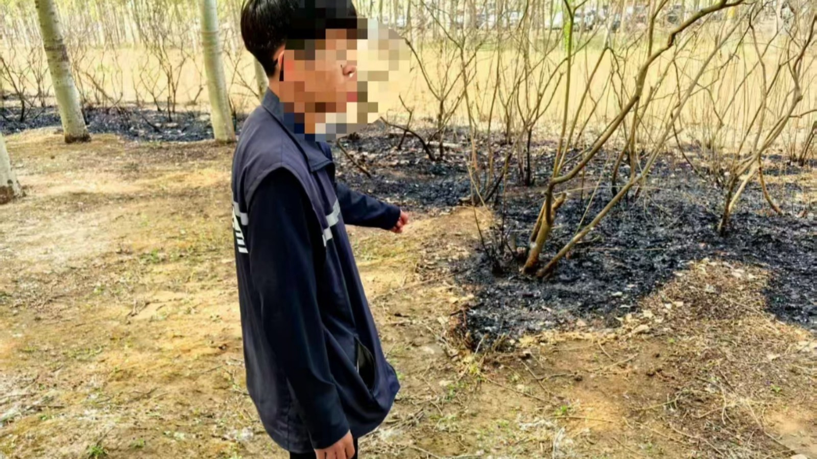 没事点着玩儿！一男子点燃杨柳絮被拘留10天