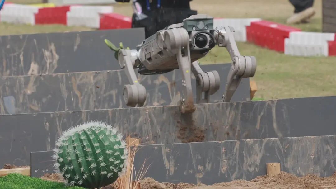 看完这场机器人比赛，读懂科技的意义