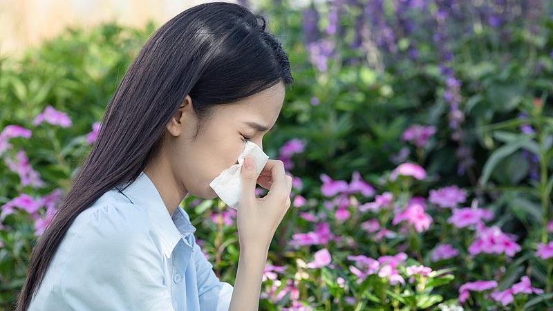 春季花粉过敏高发 专家建议感冒药和抗过敏药不要一起吃 春季花粉过敏高发 专家建议感冒药和抗过敏药不要一起吃
