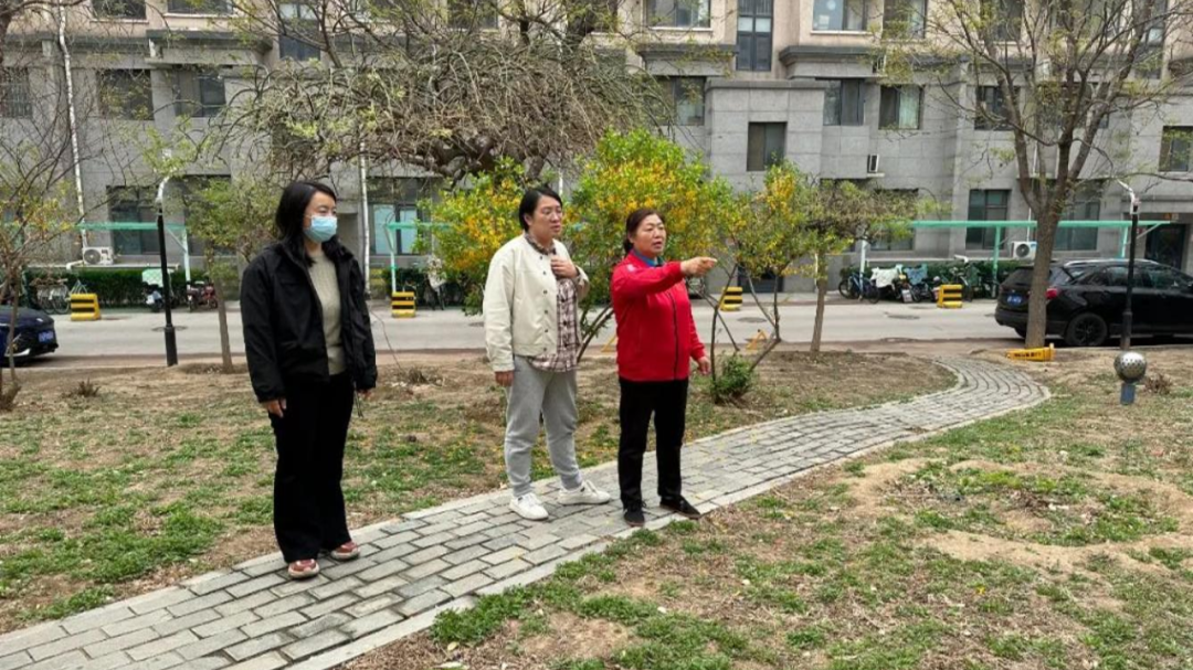 北京房山：看闲置空地如何变身“阳光花园”