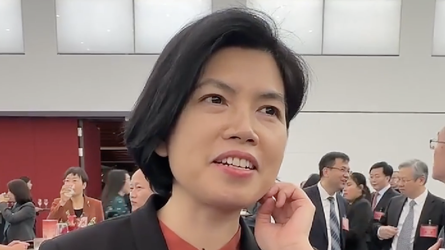 国台办新闻发言人朱凤莲:把两岸青年摸得透透的 国台办新闻发言人朱凤莲:把两岸青年摸得透透的