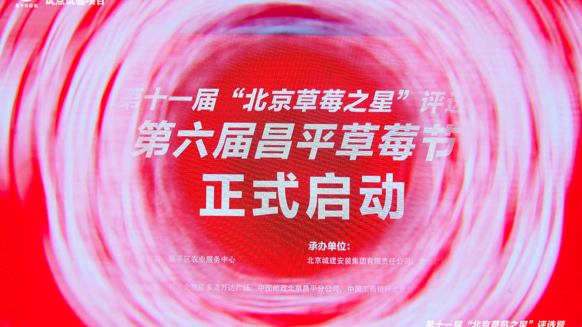 第十一届“北京草莓之星”评选暨第六届昌平草莓节盛大开幕！