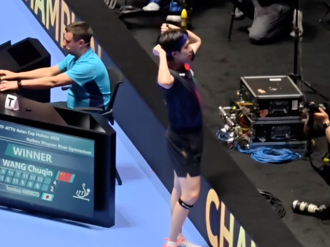 夺冠后 王楚钦指向背后的“China”