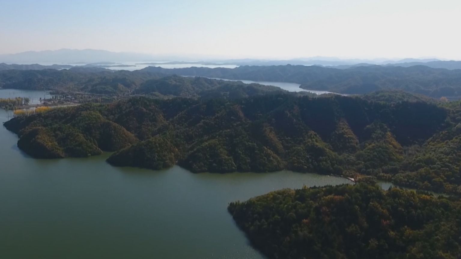 北京花鳅:全球首个以新式拼音“Beijing”命名的鱼类 北京花鳅:全球首个以新式拼音“Beijing”命名的鱼类