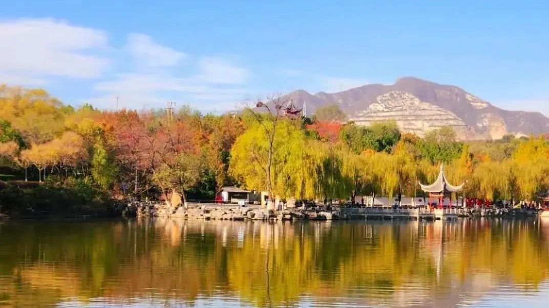 森林公园已浓墨重彩！部分免费——