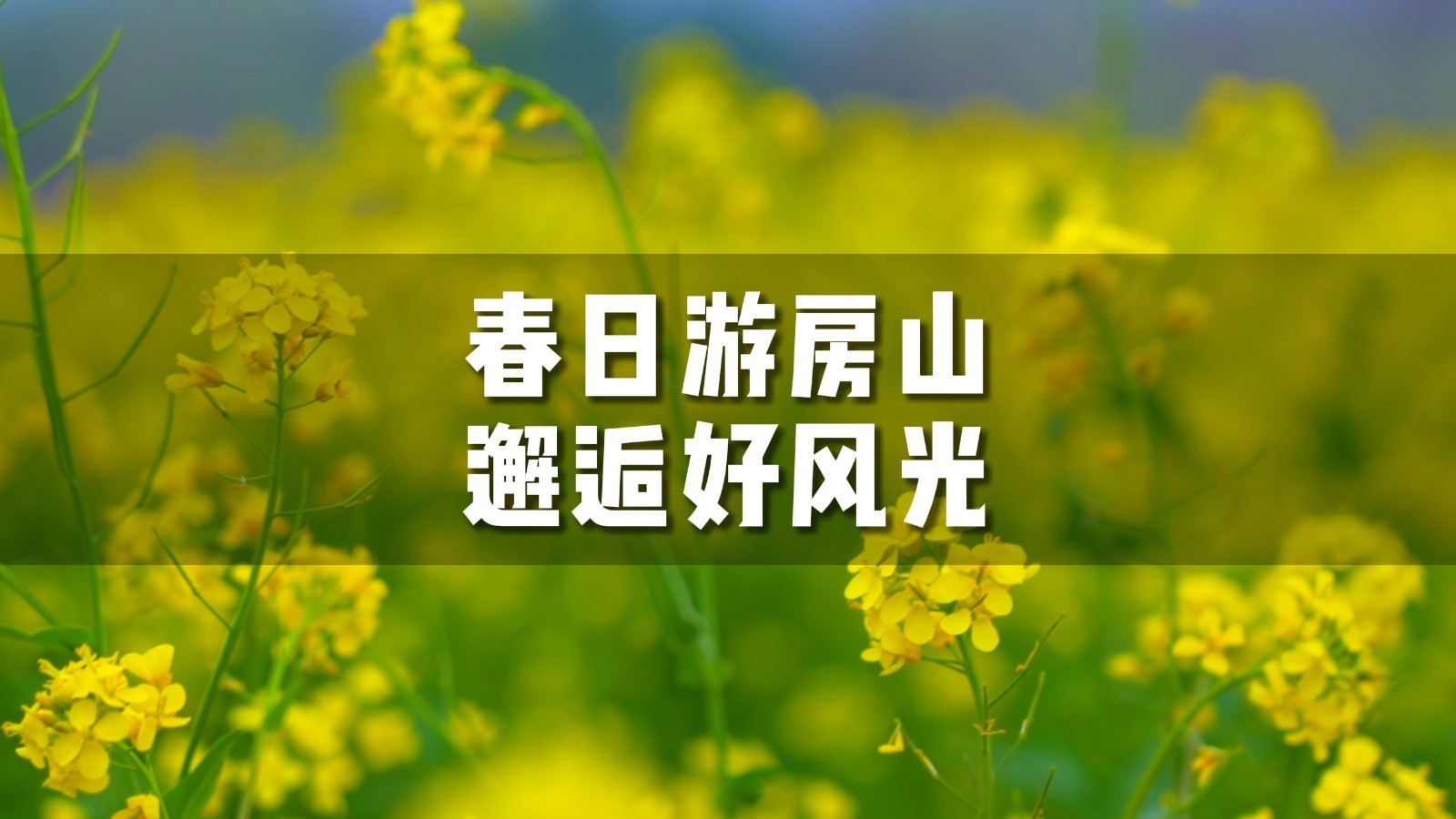 春日游房山,户外踏春行,解锁你的春日出游方式! 春日游房山,户外踏春行,解锁你的春日出游方式!