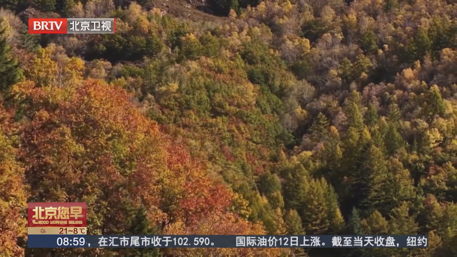 山西宁武：金秋十月 层林尽染