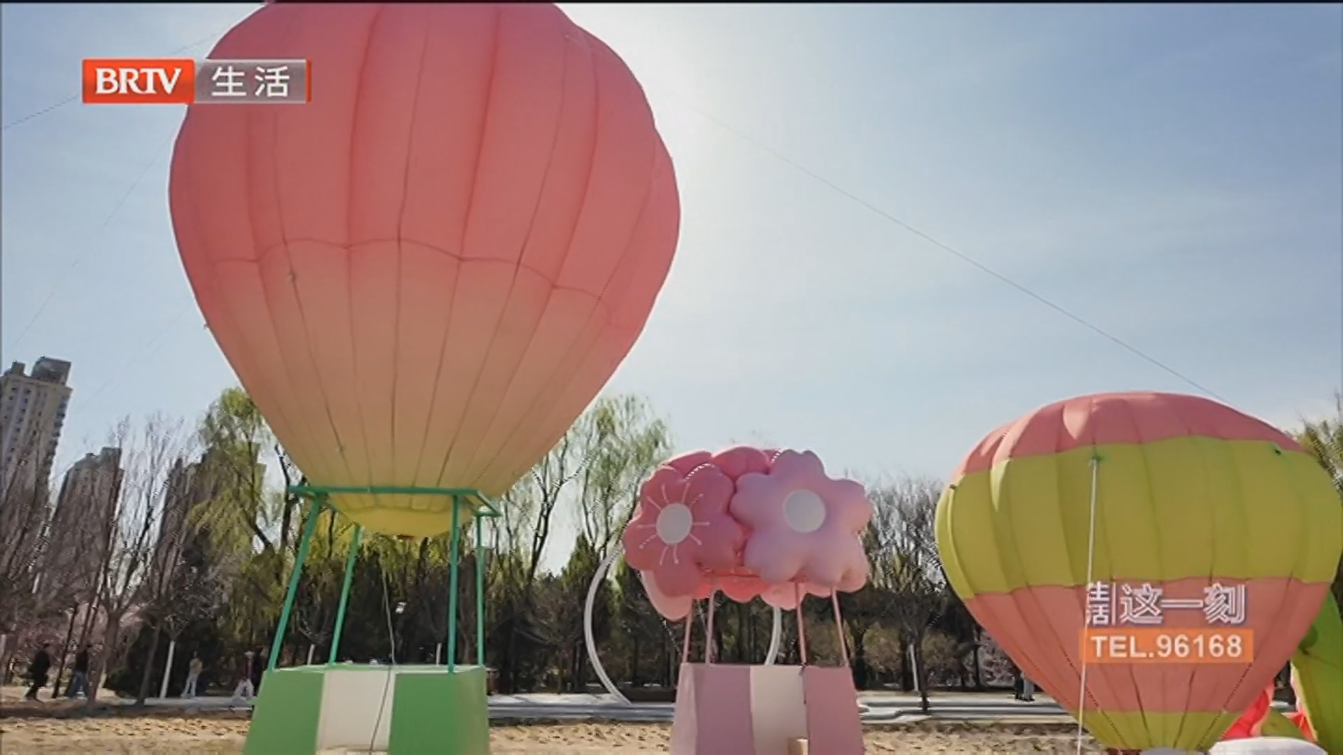 今日宜享好春光 樱花烂漫醉游人 记者探访 京城首条樱花河要来了！北京“官宣”3月22日入春