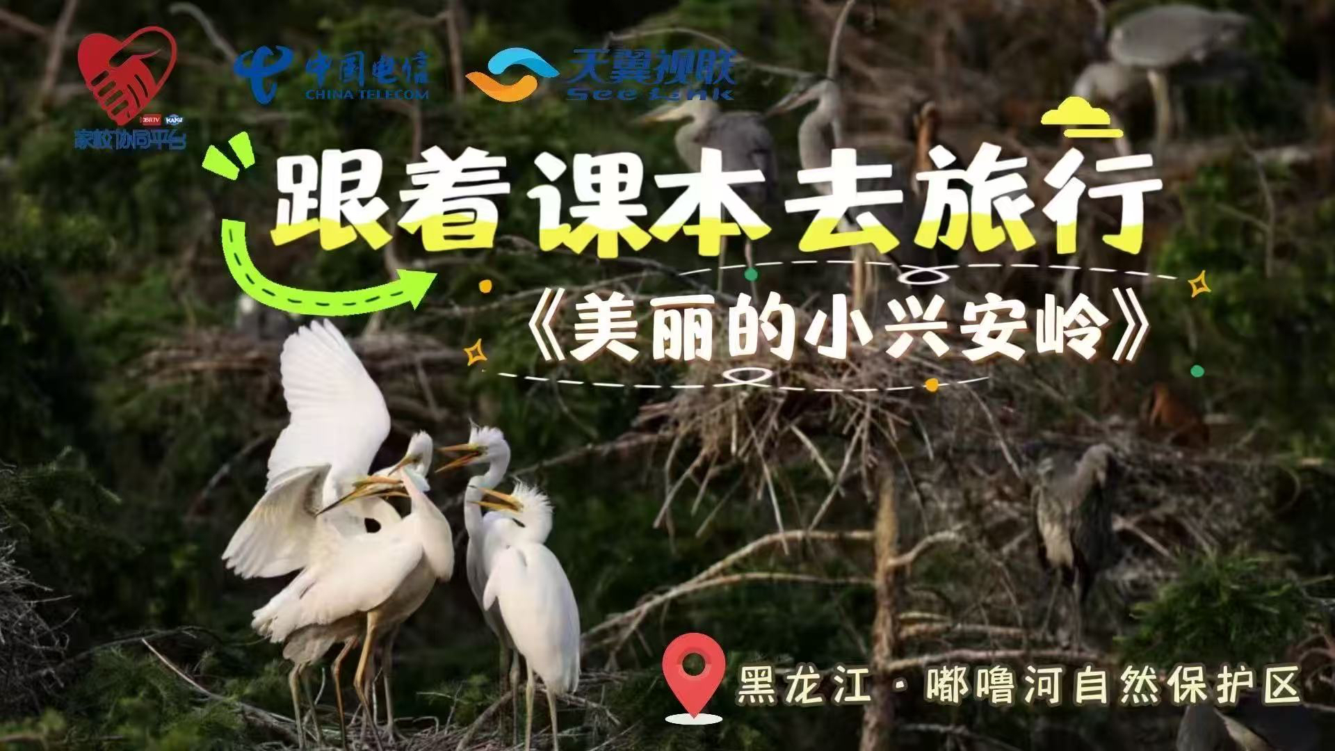 慢直播｜跟着课本去旅行《美丽的小兴安岭》​