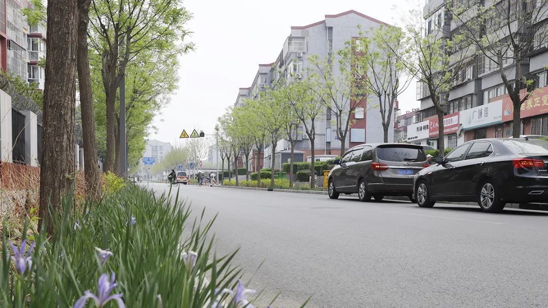 焕发新活力，顺义背街小巷处处好风景