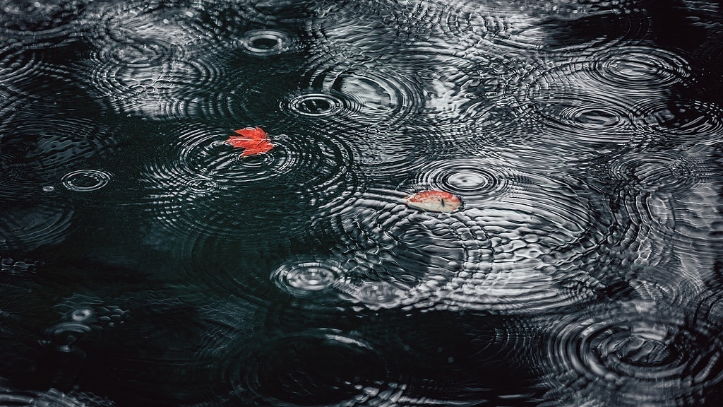 今年北京或提前入冬！周末降雨冷空气到