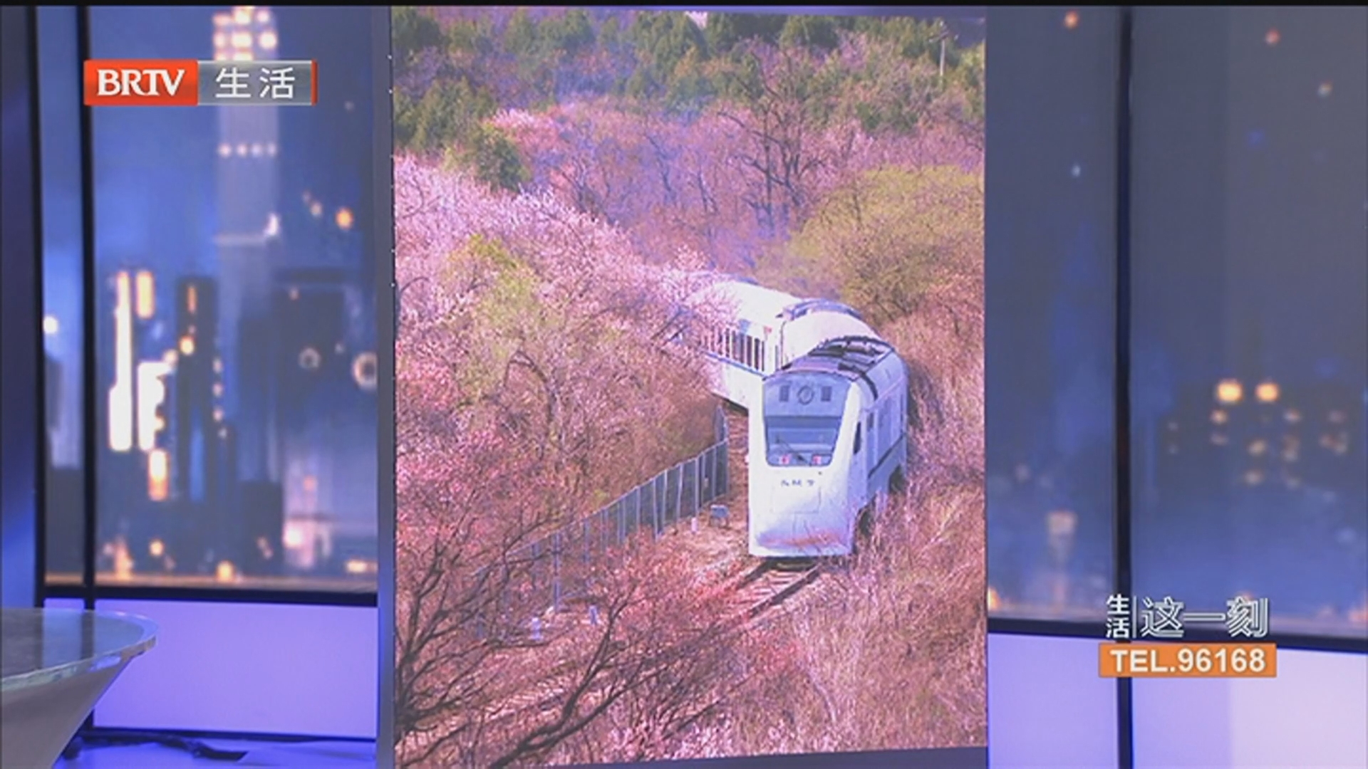 开往春天的列车 居庸关长城花海列车已准备就绪