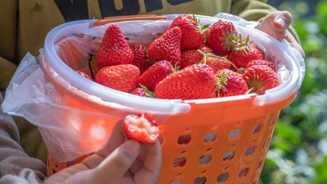何能昌平 | 辛庄之“兴” 何能昌平 | 辛庄之“兴”
