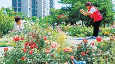 楼边院角的风景!北京今年将建设30处微花园,18处已竣工 楼边院角的风景!北京今年将建设30处微花园,18处已竣工