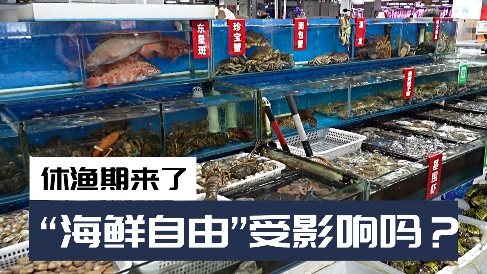 四大海域进入休渔期 海鲜市场供应依然充足