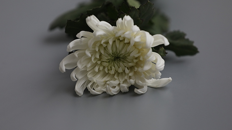 从“无名”到“有名” 8位志愿军烈士身份确认