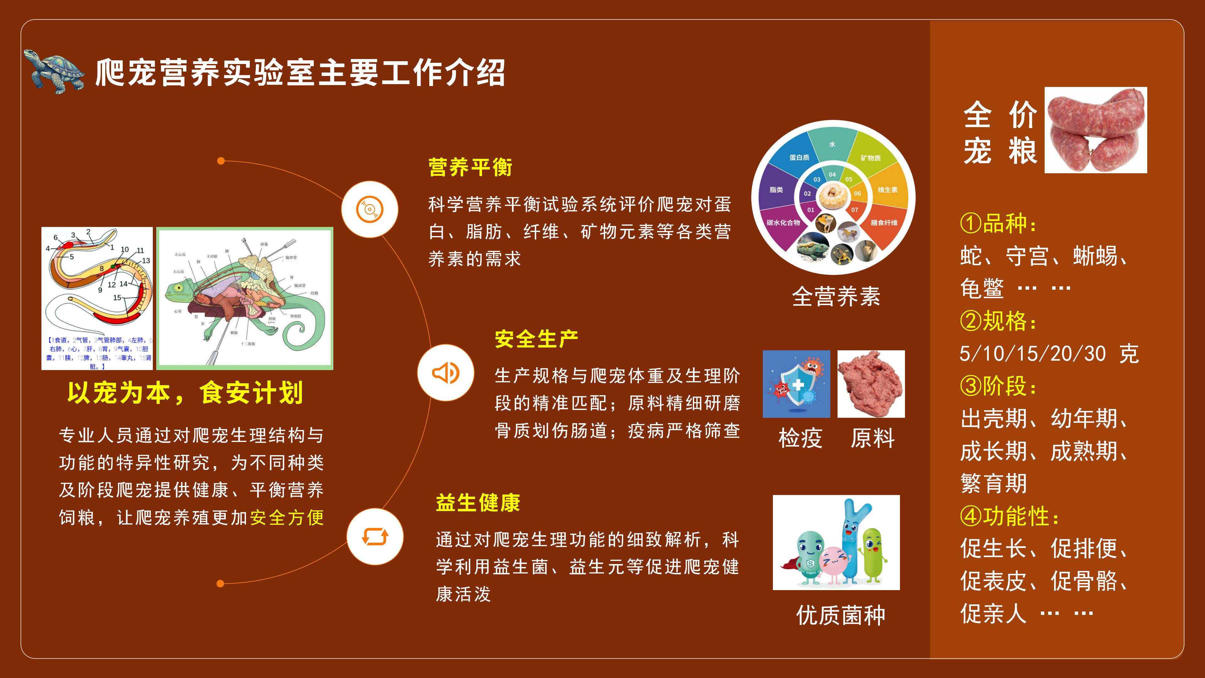 昌平区成立全国首家爬宠营养研究室 昌平区成立全国首家爬宠营养研究室
