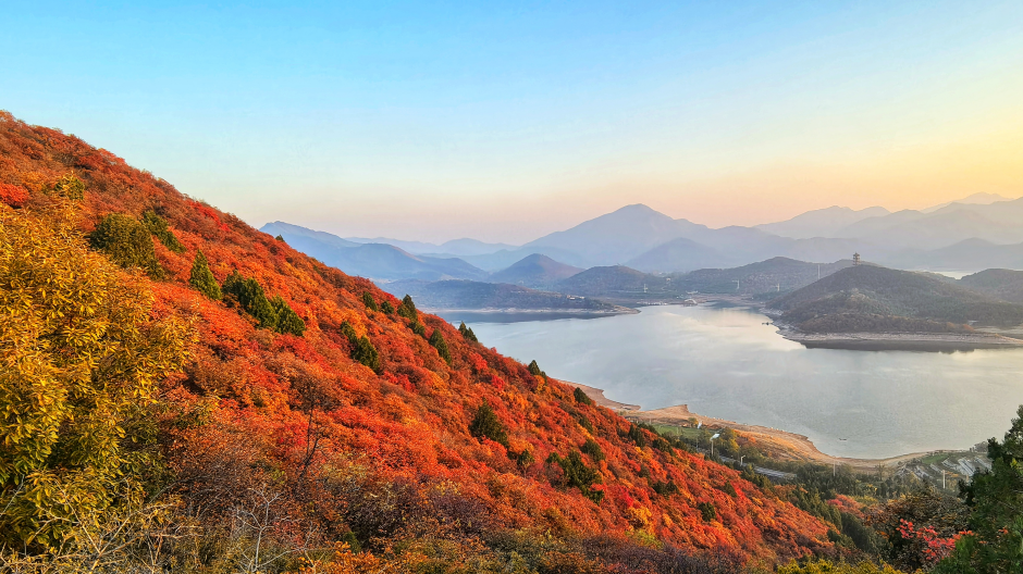 壁纸上新!这是秋天的平谷 壁纸上新!这是秋天的平谷