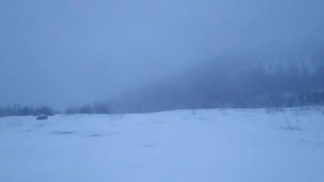 北京下雪了!最新雪景图—— 北京下雪了!最新雪景图——