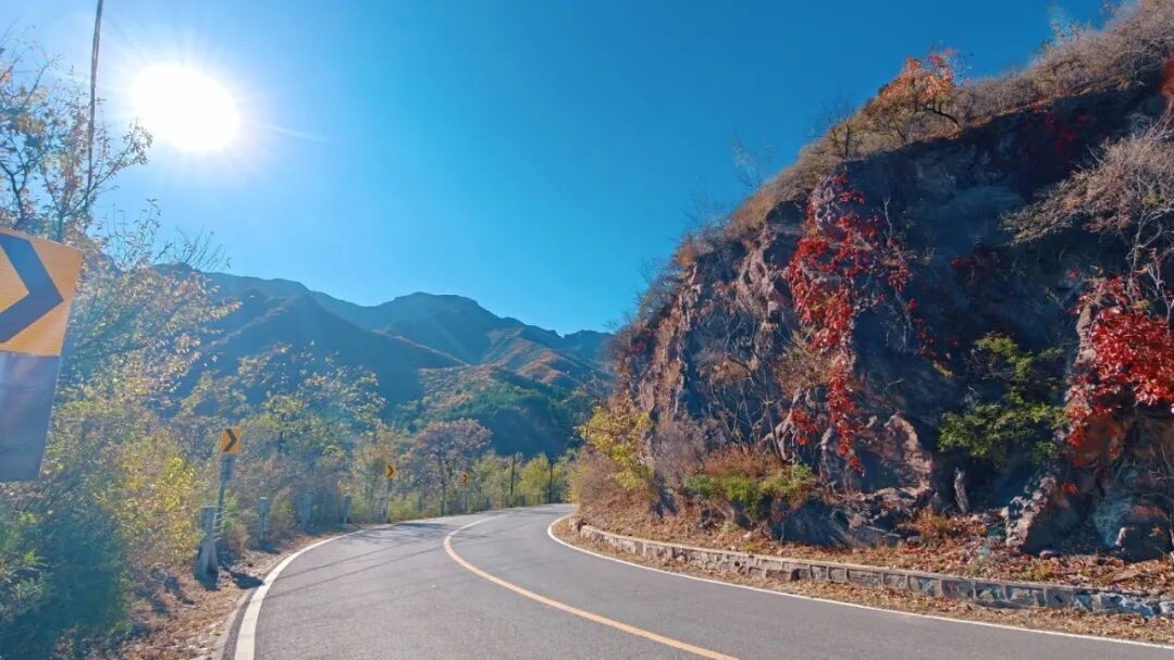 这个秋天，把第一程赏红，交给妙峰山