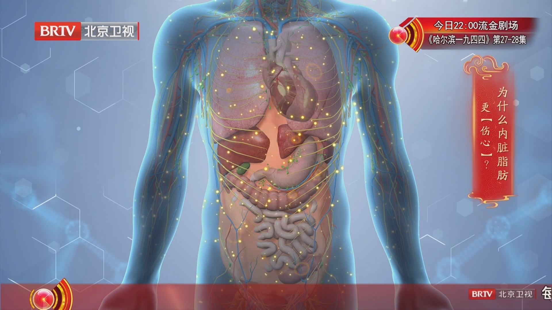 《养生堂》20250916看不见的脂肪最“伤心”