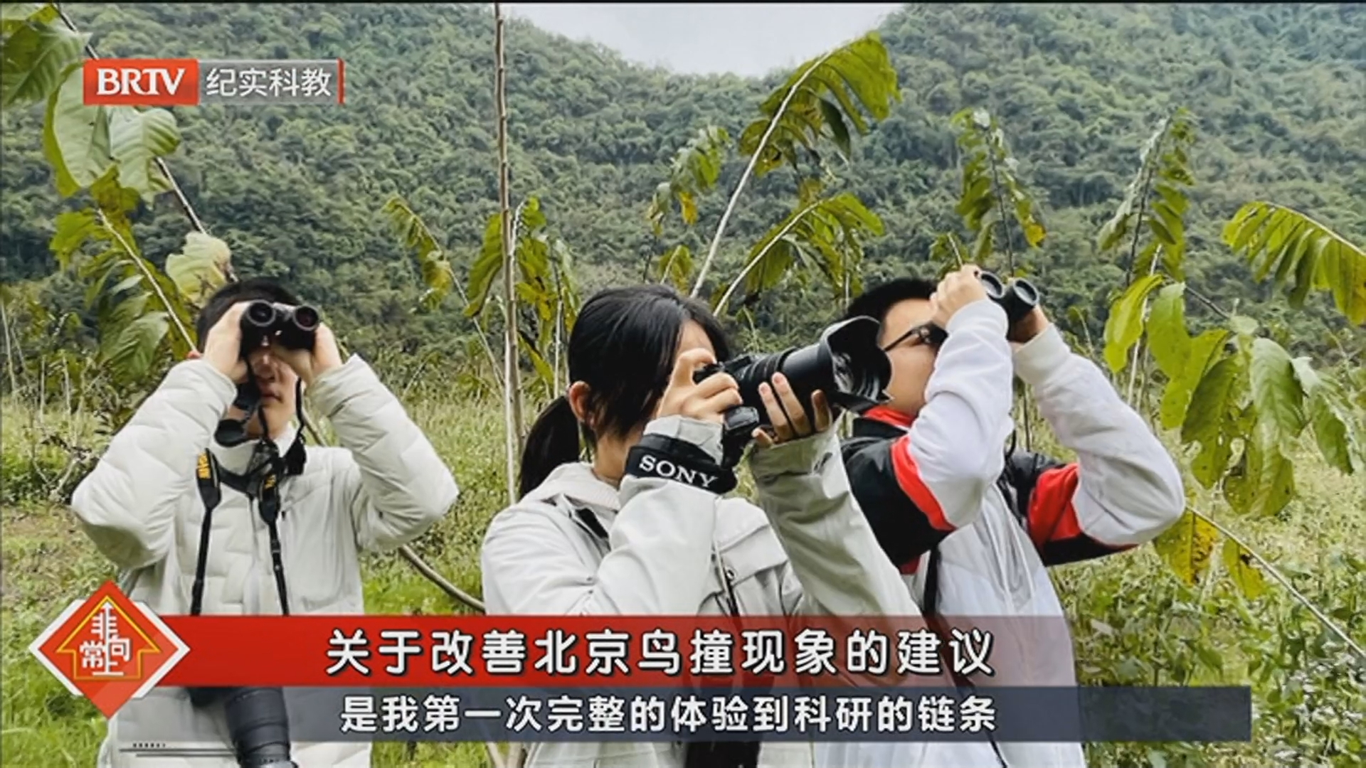 《非常向上》20241229市长 请听我说 《非常向上》20241229市长 请听我说