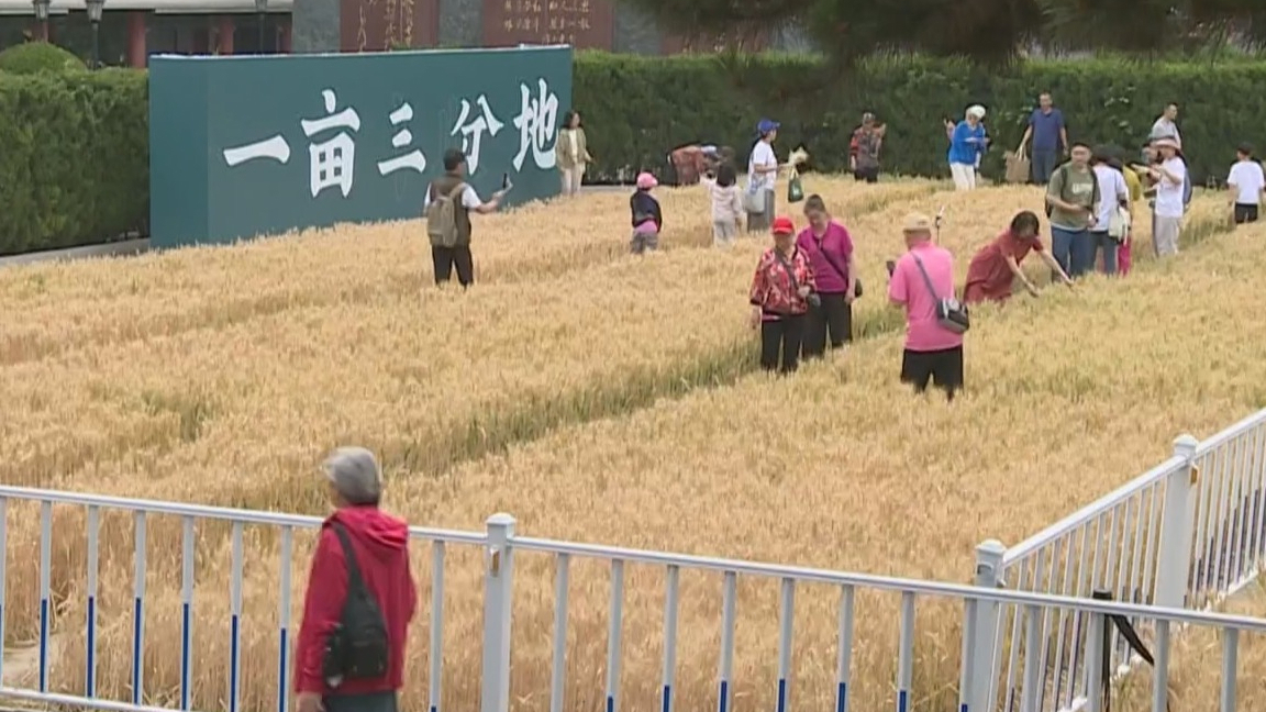 全球旅行商48小时“嗨玩北京” 北京“新发现”带来“新惊喜”