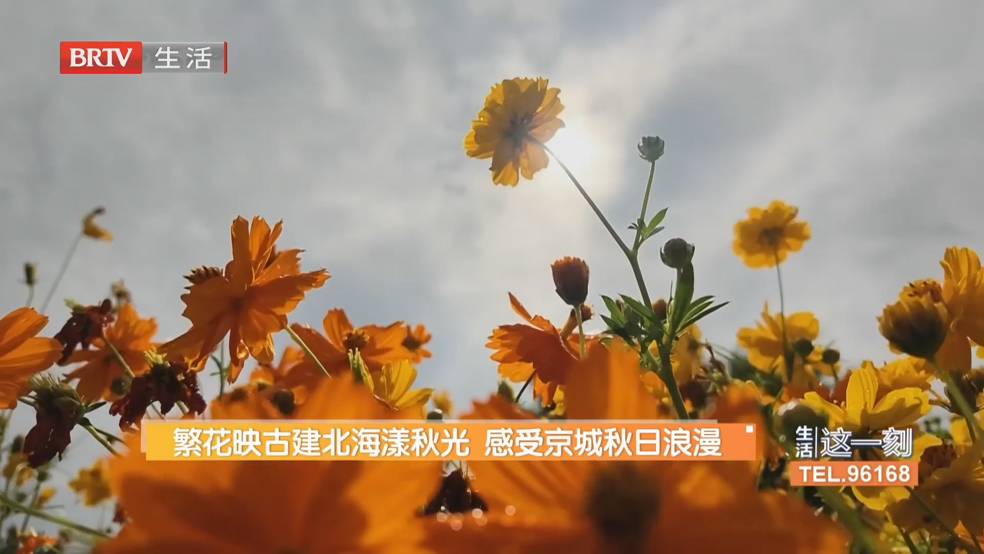 繁花映古建北海漾秋光 感受京城秋日浪漫