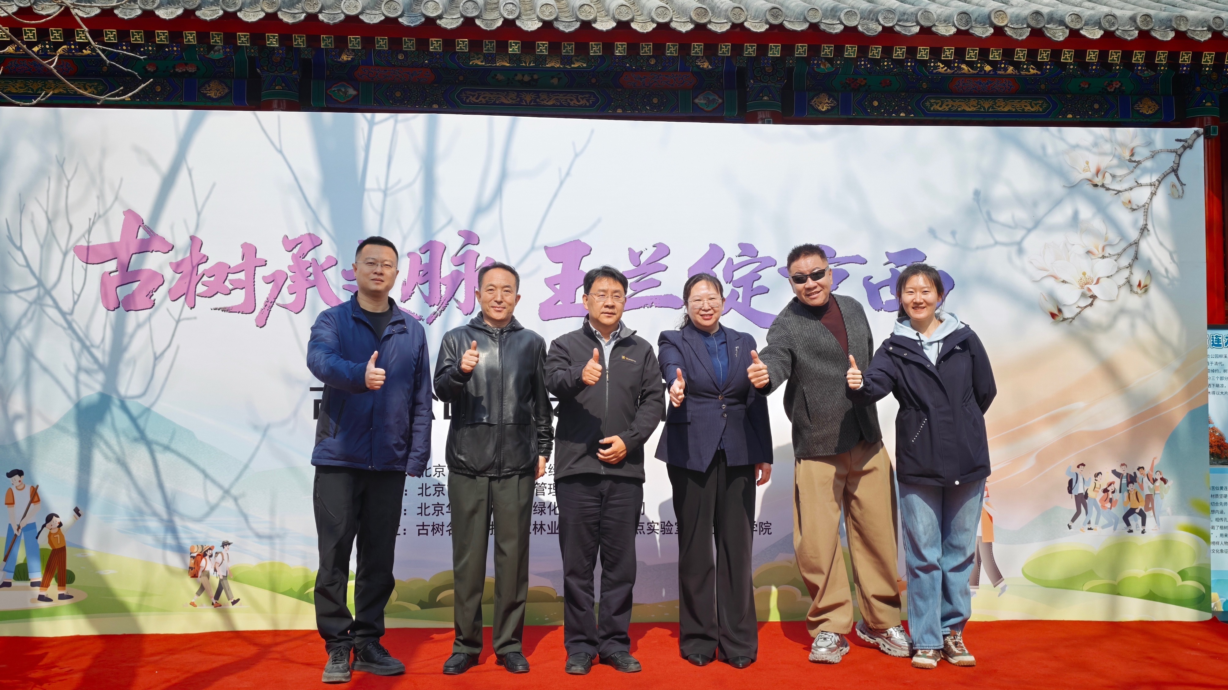 石景山区启动古树公园建设 创新推动古树保护与文化传承