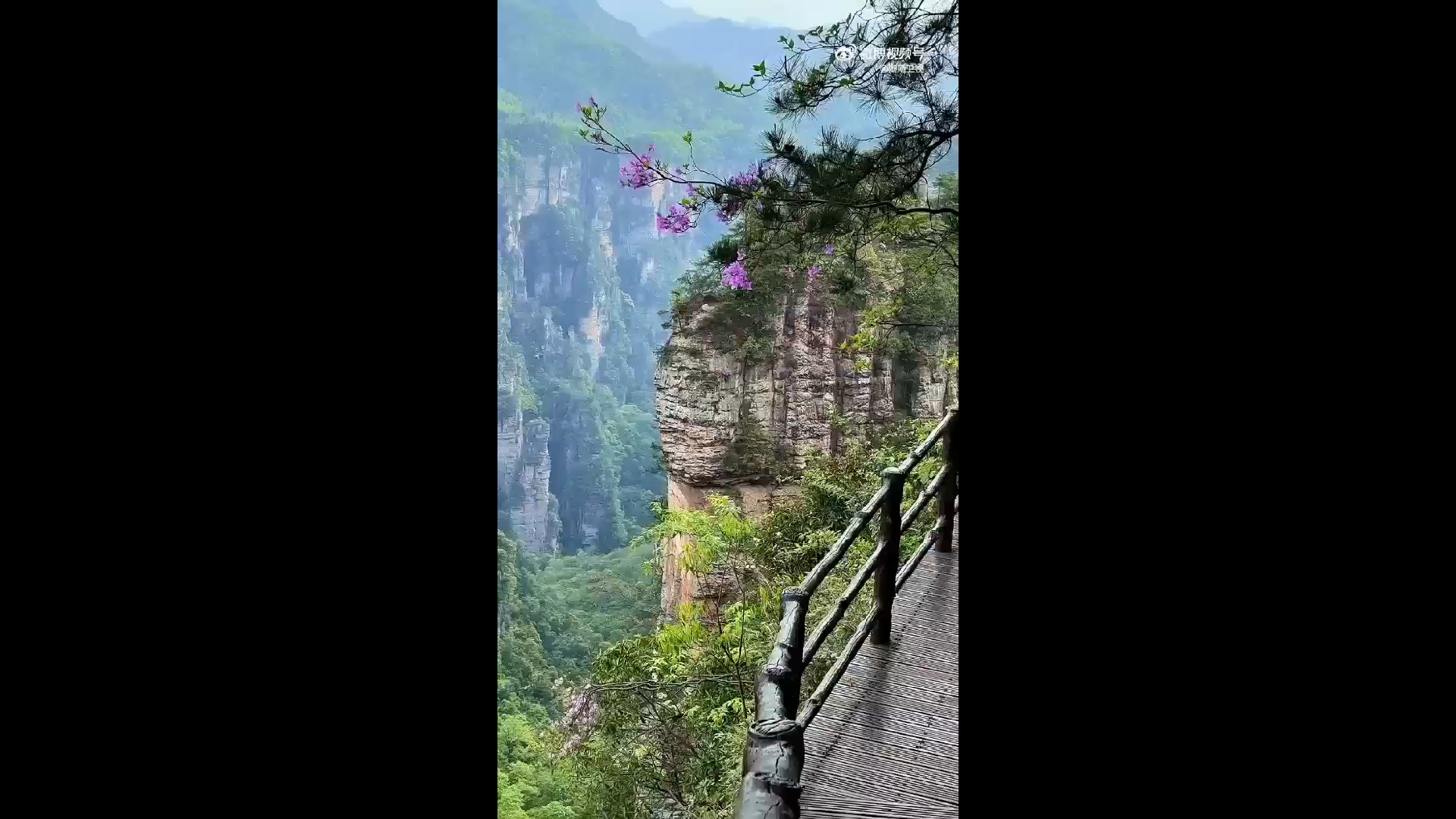 我的祖国这么美 一山春色藏不住，人间最美四月天～