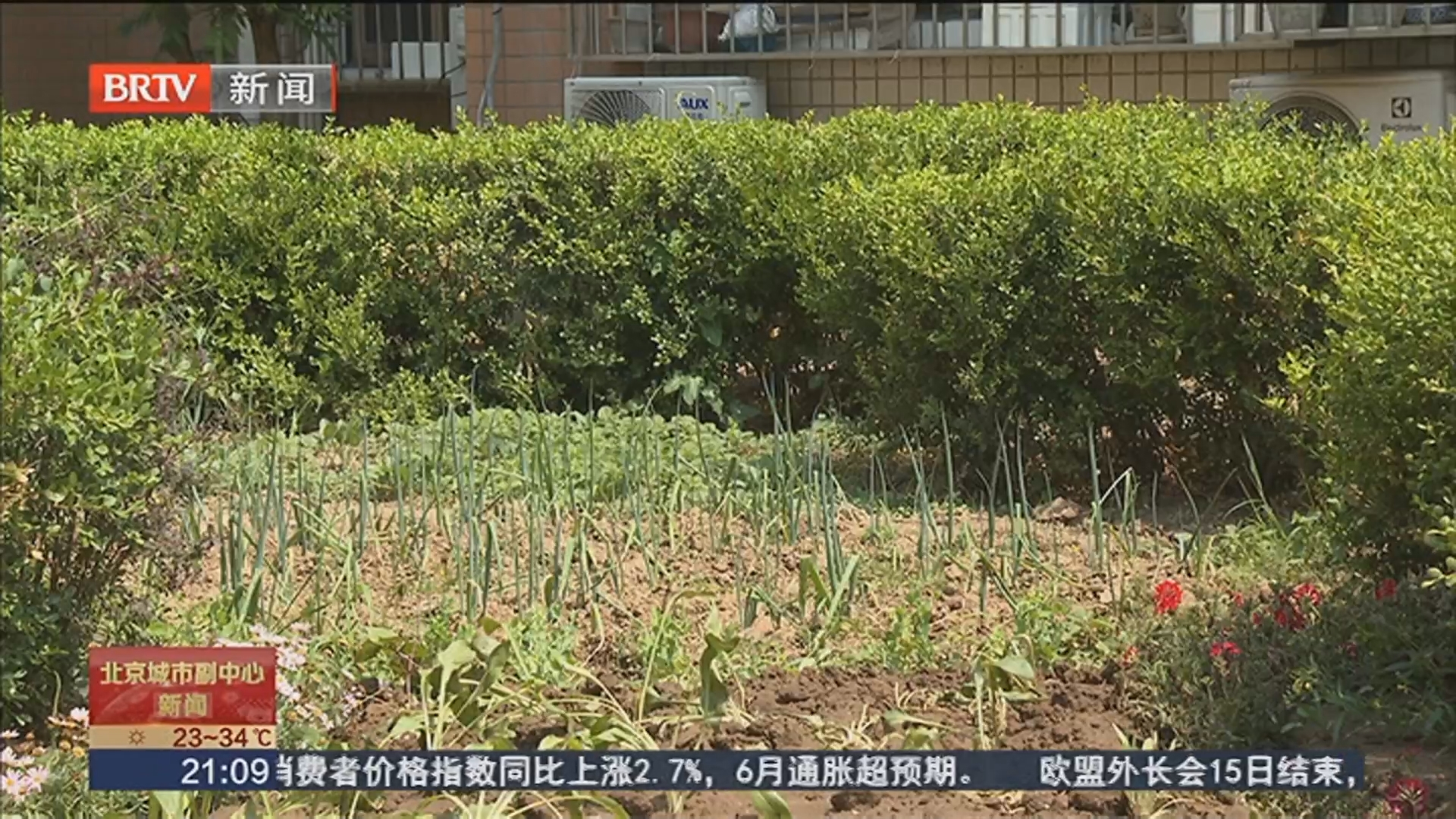 还绿于民 玉桥街道“接诉即办”出实招